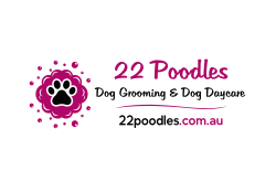22 Poodles