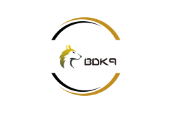 BDK9