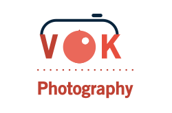 logo V