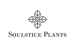 Soulstice Plants