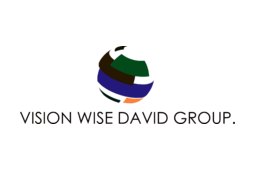 logo VISION WISE DAVID GROUP.
