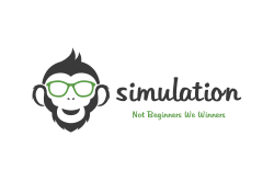 simulation