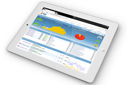 Measure your website’s audience