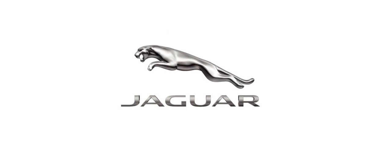 Meaning of colors metallic logos