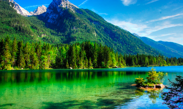 Nature
