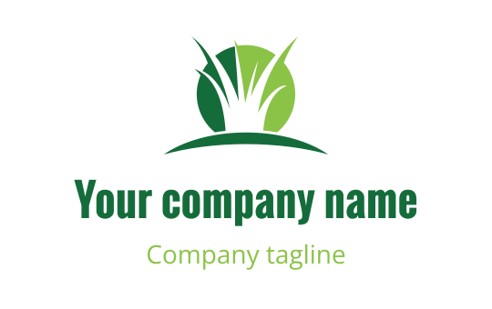 Logo design preview