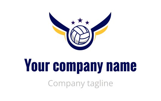 Dynamic logo design featuring a volleyball with wings and stars