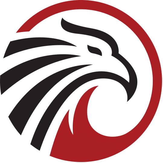 Logo design preview